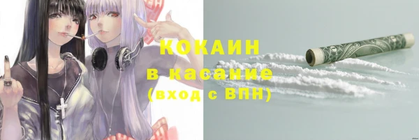 тгк Алзамай