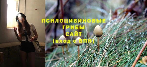 apvp Алексин
