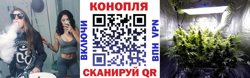 Каннабис план Артём